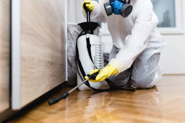 Best Ant Control Services  in Norris City, IL
