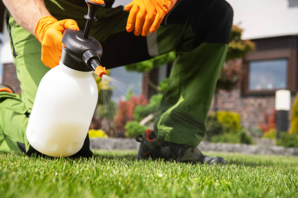 Best Ant Control Services  in Norris City, IL