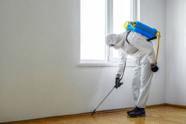 Best Pest Inspection Near Me  in Norris City, IL