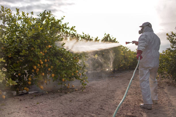 Best Best Pest Control Near Me  in Norris City, IL