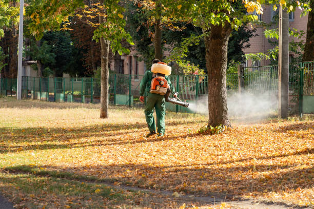 Best Bird Control  in Norris City, IL