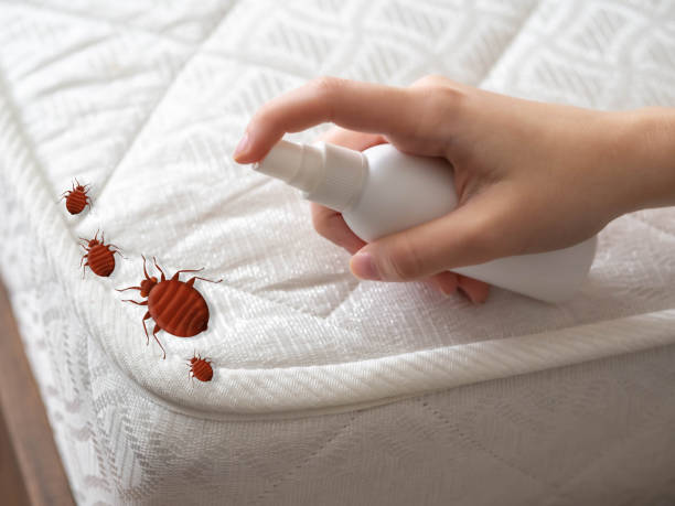Flea Control Services in Norris City, IL