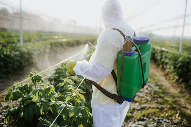  Norris City, IL Pest Control Pros